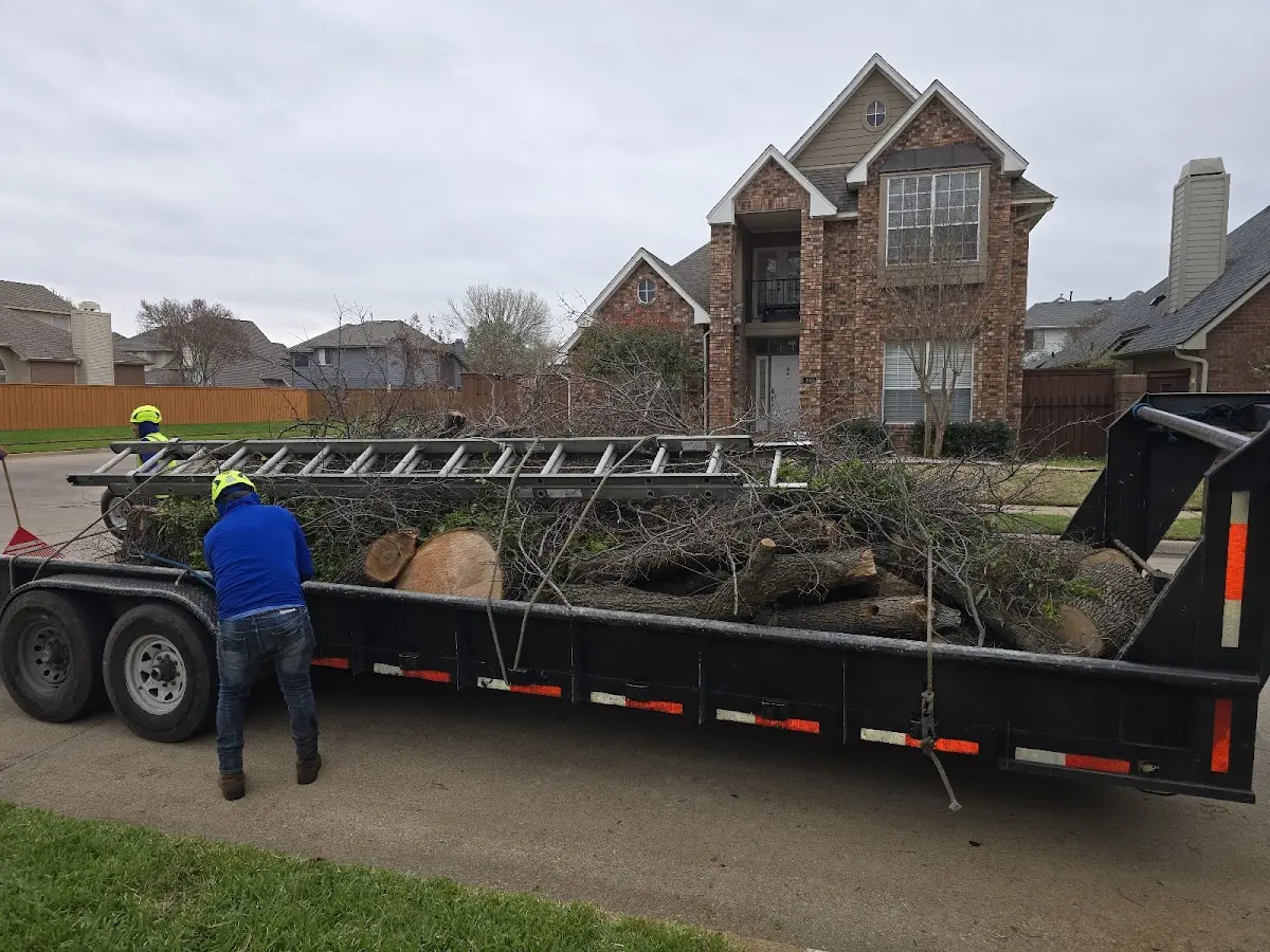 Expert Tree Fertilization with proper safety equipment in Slinger